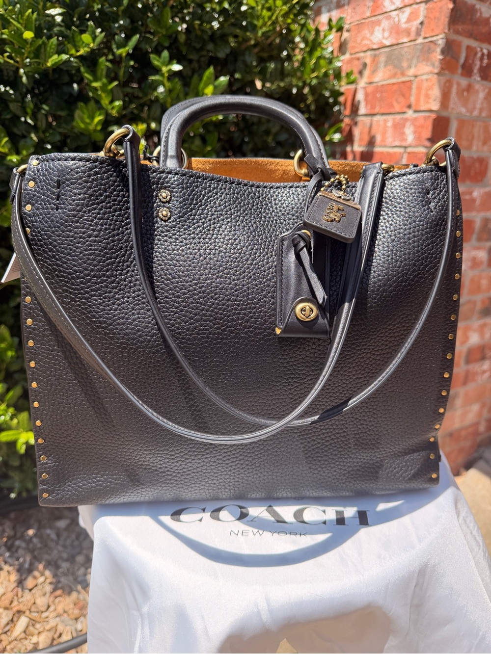 NWT Coach 1941 Rogue with Rivets Black #30457